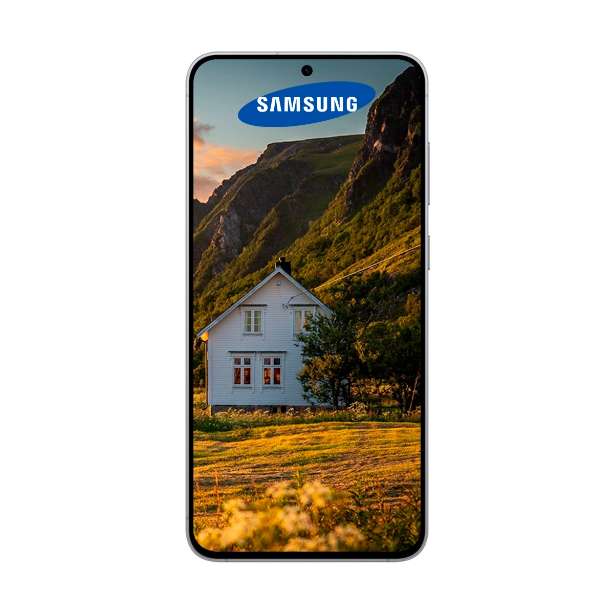 Celular Samsung Galaxy S25 FE 8GB RAM 256GB 5G