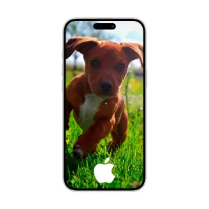 Apple iPhone 17 256GB 5G A19 Blanco