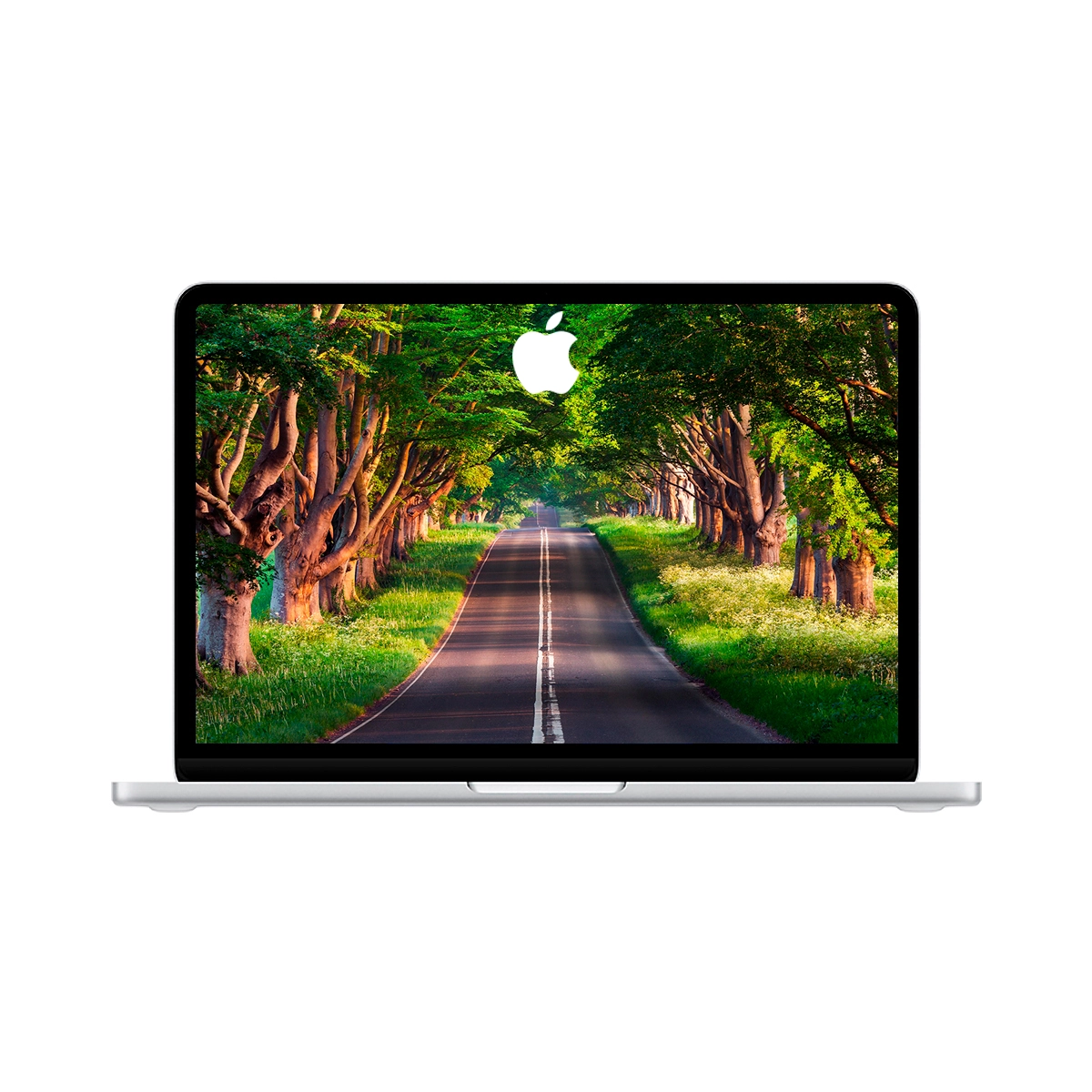 Apple MacBook Neo A18 Pro 8GB RAM 256GB SSD 13 Pulgadas macOS Silver