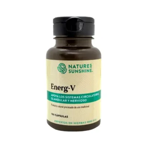 Energ-V